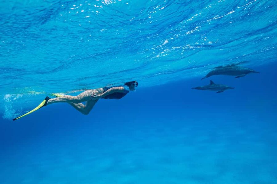 Marsa Alam:Sataya Reefs Dolphin Snorkeling Cruise with Lunch - The boat ride across the Red Sea