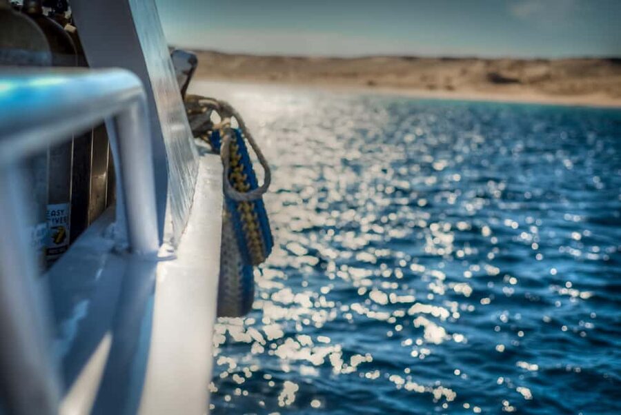 Marsa Alam:Sataya Reefs Dolphin Snorkeling Cruise with Lunch - The second snorkeling stop and reef life