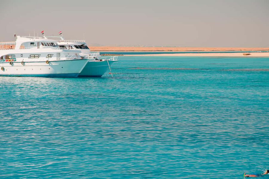 Marsa Alam:Sataya Reefs Dolphin Snorkeling Cruise with Lunch - Practical details that make the day easier
