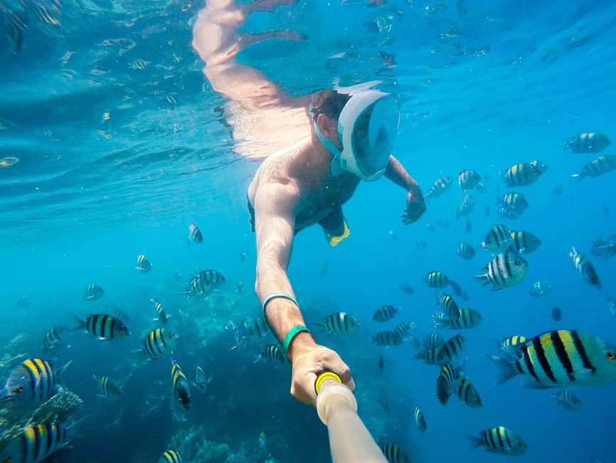 Marsa Alam:Sataya Reefs Dolphin Snorkeling Cruise with Lunch - The early hotel pickup from Marsa Alam