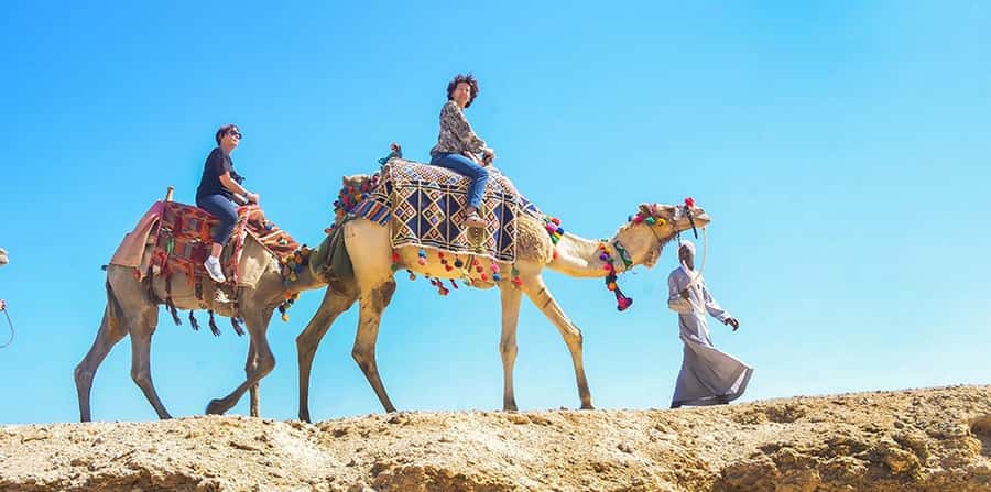 Marsa Alam: Sea and Desert Camel Riding Tour - Key points at a glance