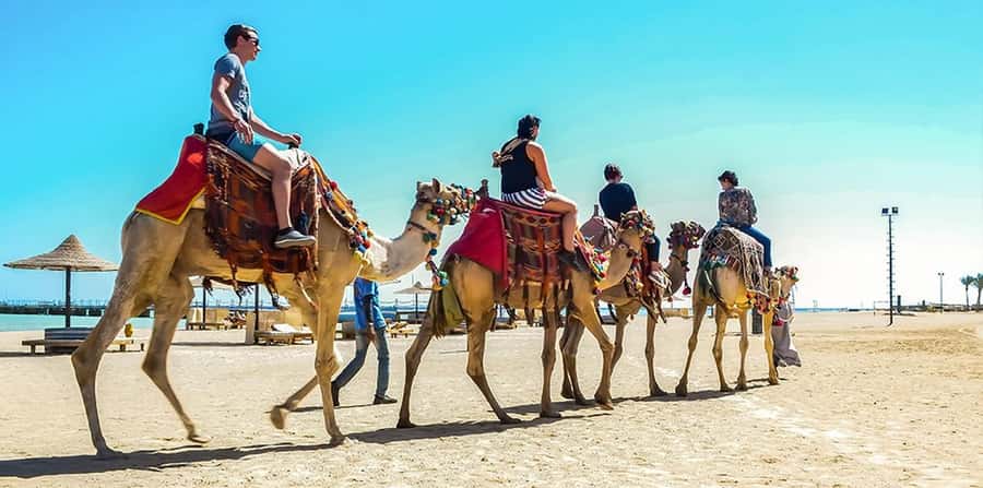 Marsa Alam: Sea and Desert Camel Riding Tour - Two hours between dunes and the Red Sea