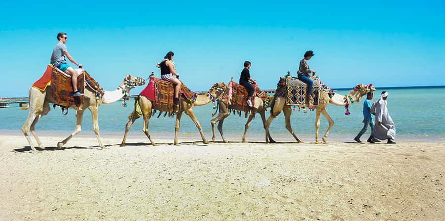 Marsa Alam: Sea and Desert Camel Riding Tour - Sunrise, morning, afternoon, or sunset