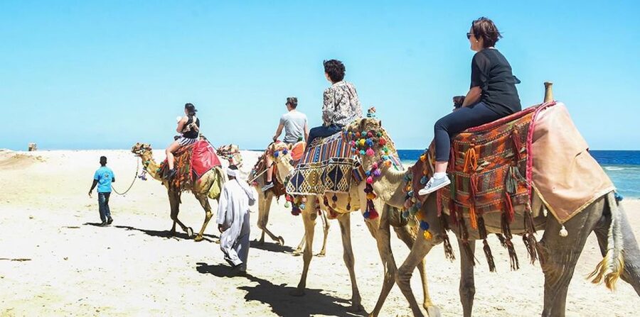 Marsa Alam: Sea and Desert Camel Riding Tour - Hotel pickup from Marsa Alam and nearby resorts