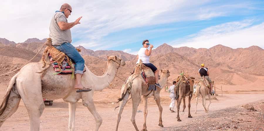 Marsa Alam: Sea and Desert Camel Riding Tour - How much value do you get for $28?