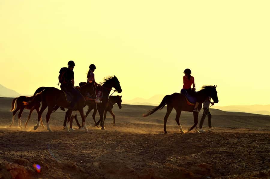 Marsa Alam: Sea and Desert Horse Riding Tour - Quick points to know before booking