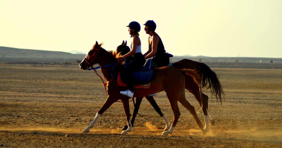 Marsa Alam: Sea and Desert Horse Riding Tour - From Marsa Alam’s desert trails to the Red Sea