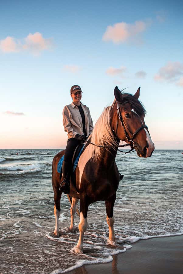 Marsa Alam: Sea and Desert Horse Riding Tour - The four-hour VIP ride and the sea swim