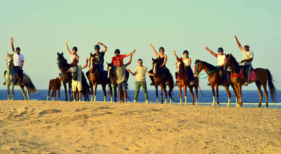 Marsa Alam: Sea and Desert Horse Riding Tour - Choosing sunrise, morning, afternoon, or sunset