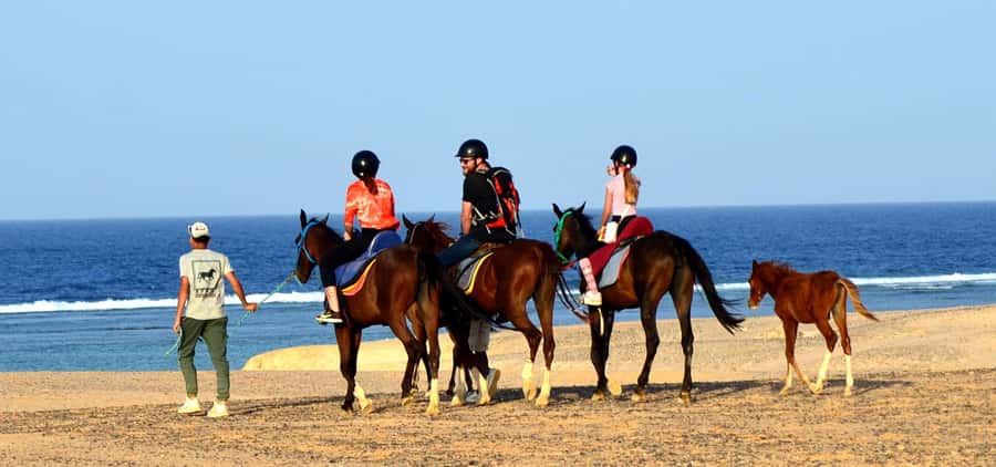 Marsa Alam: Sea and Desert Horse Riding Tour - Horses, guides, and the level of care