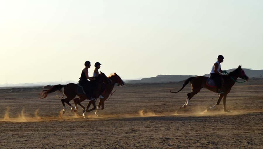 Marsa Alam: Sea and Desert Horse Riding Tour - How much value do you get for $33?