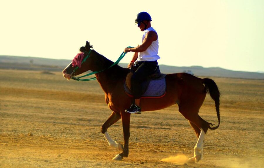 Marsa Alam: Sea and Desert Horse Riding Tour - What to wear and what to leave behind