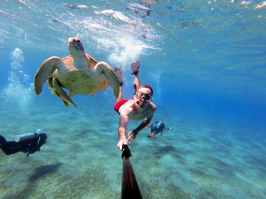Marsa Alam: Snorkeling with Sea Turtles Marsa Mubarak - Key points to know before booking
