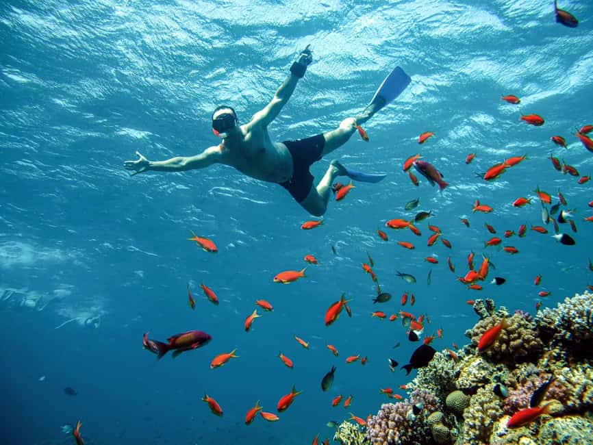 Marsa Alam: Snorkeling with Sea Turtles Marsa Mubarak - Should you book this Marsa Alam snorkeling trip?