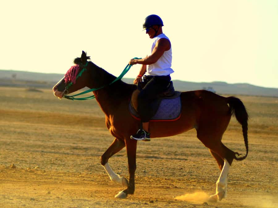 Marsa Alam: Sunrise Horseback with Breakfast - The first two hours: desert paths and the Red Sea coast