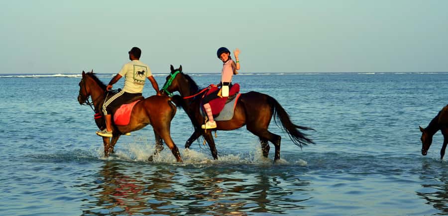 Marsa Alam: Sunrise Horseback with Breakfast - Breakfast after the ride: a pleasant idea with one point to confirm