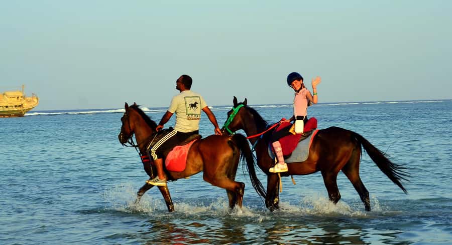 Marsa Alam: Sunrise Horseback with Breakfast - The VIP four-hour option and horse swim