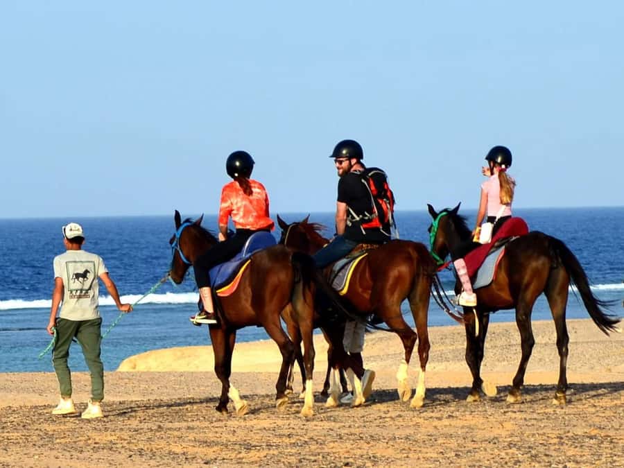 Marsa Alam: Sunrise Horseback with Breakfast - Transfers from five Marsa Alam areas