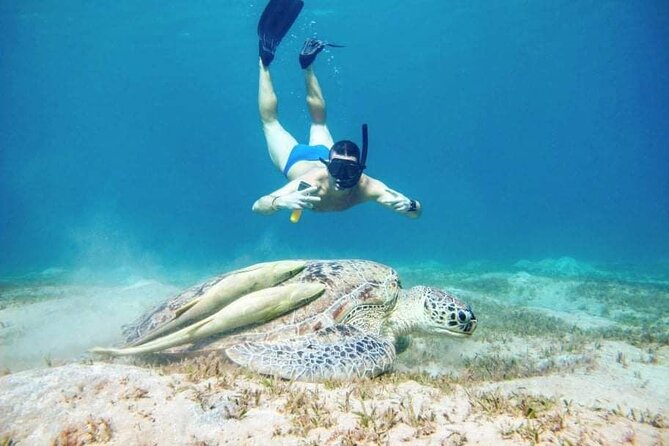 Marsa Mubarak snorkeling with dugong and turtles - marsaalam - Lunch on board, then a second snorkeling stop