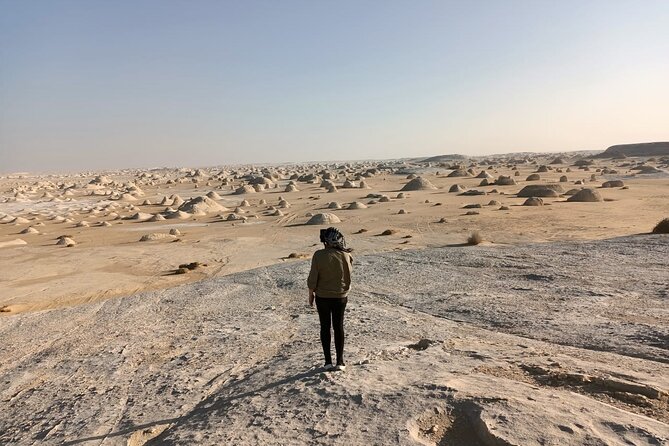Marvel 10 Day to Giza Pyramids ,White desert ,Nile Cruise & Hotel - Luxor’s West Bank and East Bank