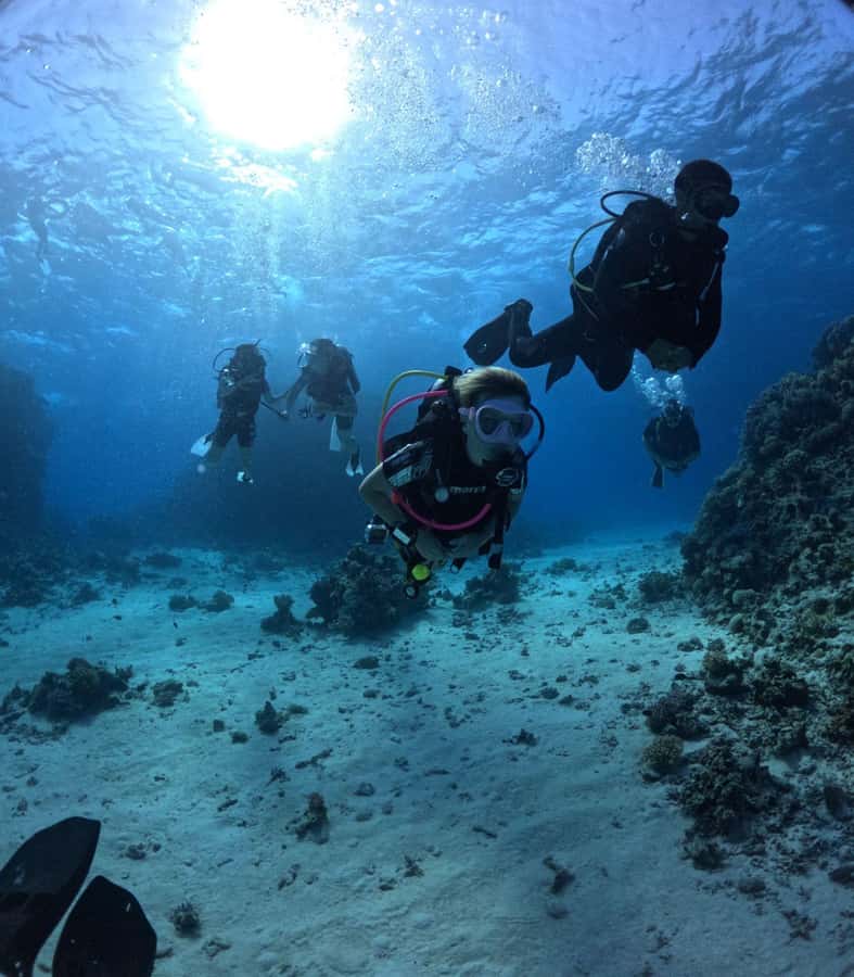 Museum Diving Experience in the Red Sea - Lunch after the first session