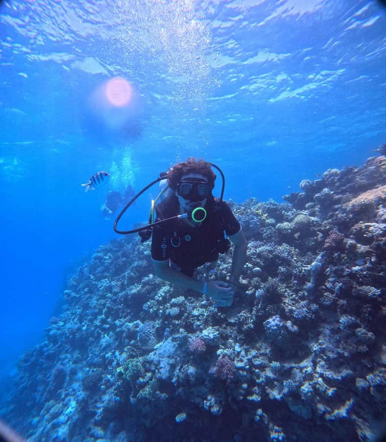 Museum Diving Experience in the Red Sea - The crew, photographs, and souvenirs