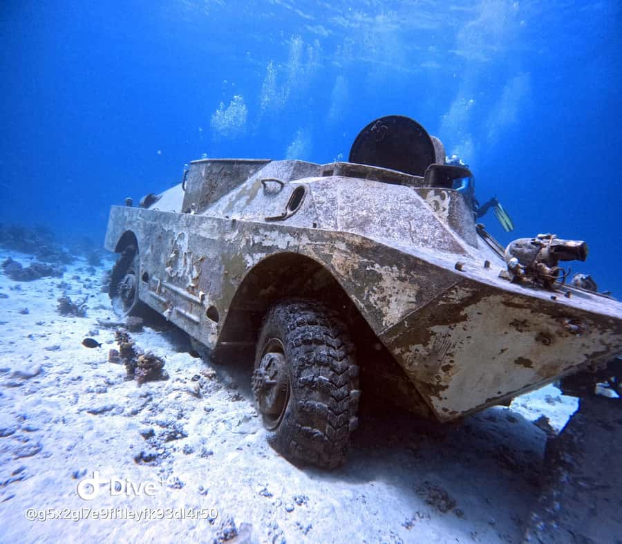 Museum Diving Experience in the Red Sea - Is $61 good value?