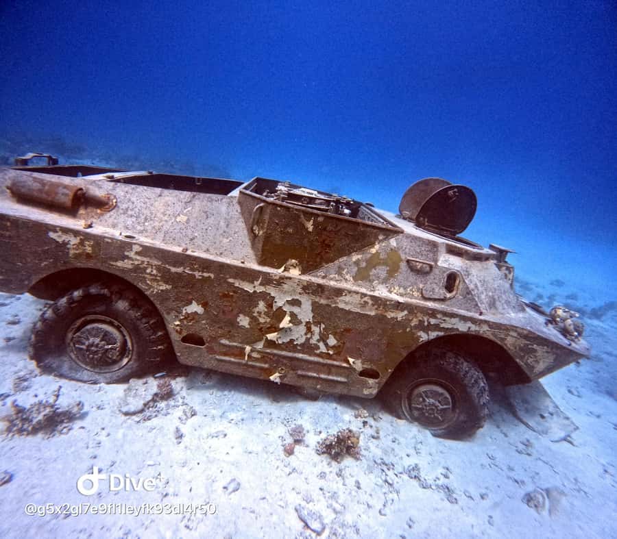 Museum Diving Experience in the Red Sea - Who should book this experience?