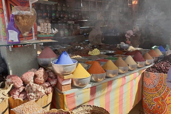 Nubian Village and Philae Temple Private Guided Tour From Aswan - What you find at Nubian Village