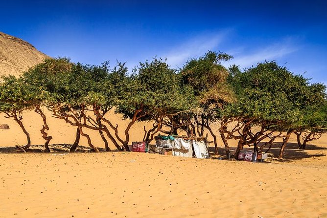 Nubian Village by Motorboat In Aswan - The crocodile house adds a memorable detail