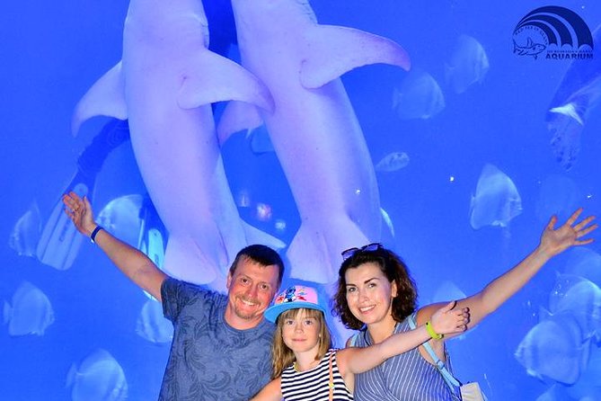 Official Account: Hurghada Grand Aquarium Entrance Tickets - Transport is simple, but arrange your return