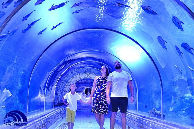 Official Account: Hurghada Grand Aquarium Entrance Tickets - Twenty-four galleries give the visit useful variety