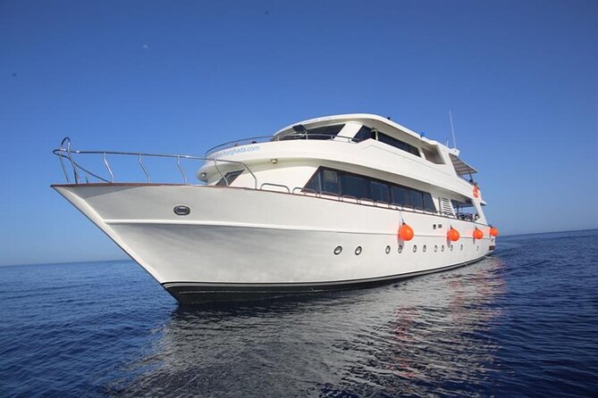 Orange Bay Island Full Day Trip And Water Sport With Lunch - Hurghada - Snorkeling in Red Sea water