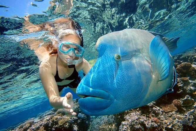 Orange Bay Island Snorkeling Trip With Water Sports - Hurghada - Who will enjoy this Hurghada boat trip