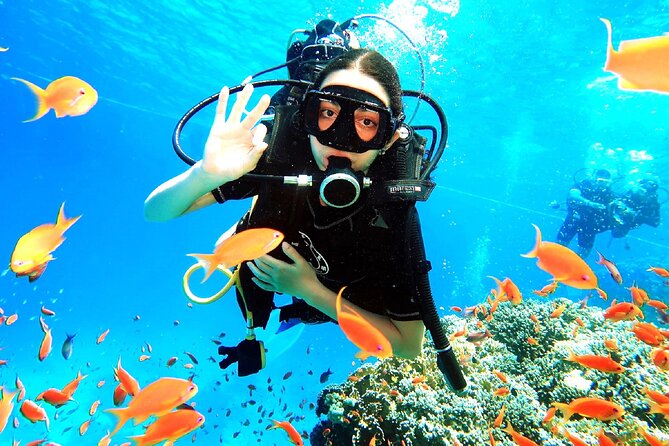 PADI Open Water Diver Course - Theory sessions: the part you should not rush
