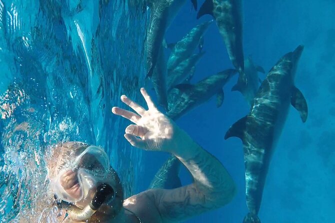 PADI Open Water Diver Course in Hurghada - Learn Scuba Diving - Key points to know before booking