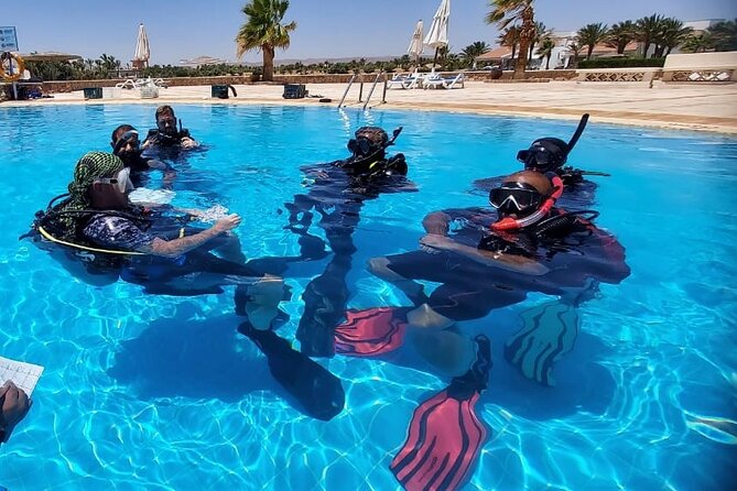 PADI Open Water Diver Course in Hurghada - Learn Scuba Diving - Day two: repeating skills before exploring