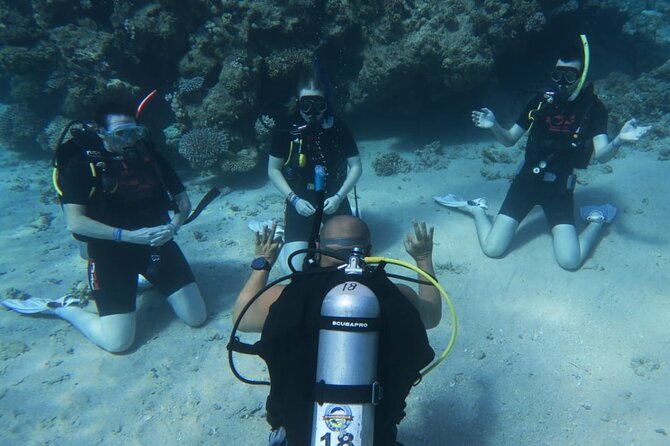 PADI Open Water Diver Course - Confined-water practice builds calm before the sea