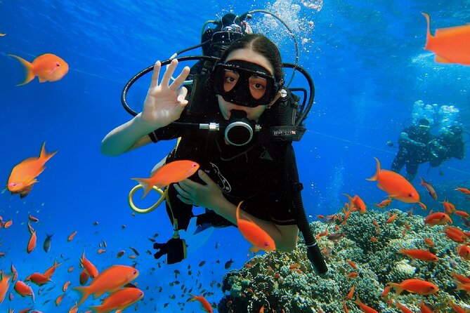 PADI Scuba Diver (PSD) - Key points for your two days underwater