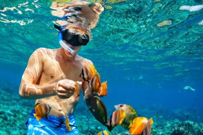 PADI Scuba Diver (PSD) - Learning the basics before entering the Red Sea