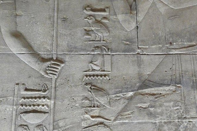 Philae Temple and Aswan High-Dam Half-day tour - Guides, drivers, and how the service works