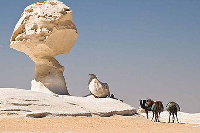 Private 2 Days Jeep Safari to White Desert and Bahariya Oasis - Leaving Cairo for Bahariya Oasis