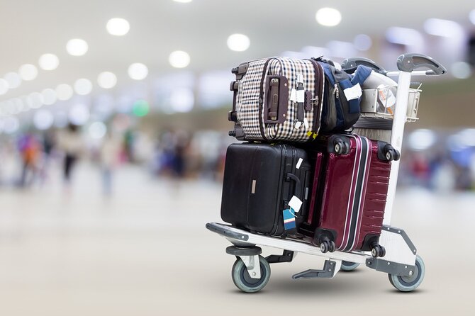 Private Airport Transfer in Cairo - Timing, Communication, and the Late-Arrival Risk