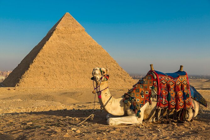 Private Cairo Aswan Luxor 8 days 7 nights with Nile Cruise - The overnight trains: practical value and real tradeoffs