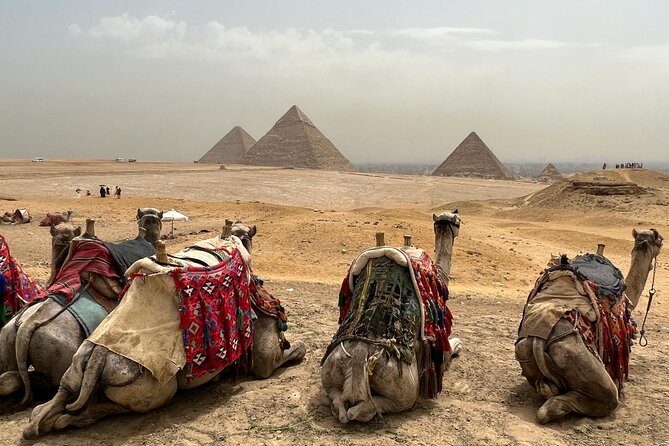 Private Day Pyramids and Grand Egyptian Museum with free camel - What the $10 price really means