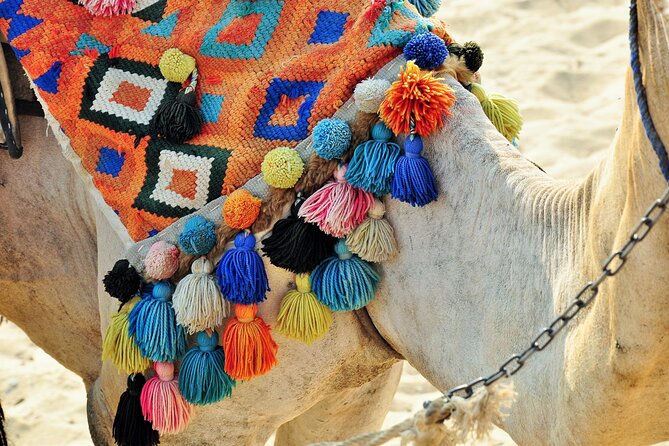 Private Day Tour of Giza Pyramids, Egyptian Museum, and Bazaar" - The private format and the day’s pace