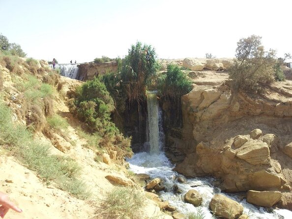 Private Day Tour To El Fayoum From Cairo - Key points to know before booking