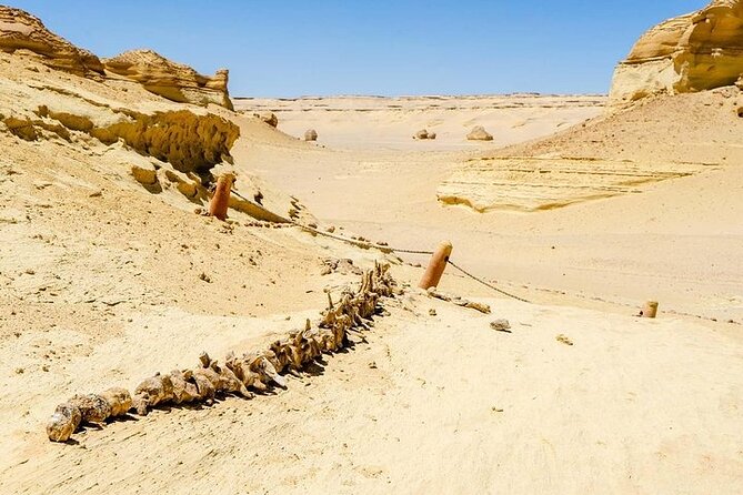 Private Day Tour To El Fayoum From Cairo - Why El Fayoum makes a good break from Cairo