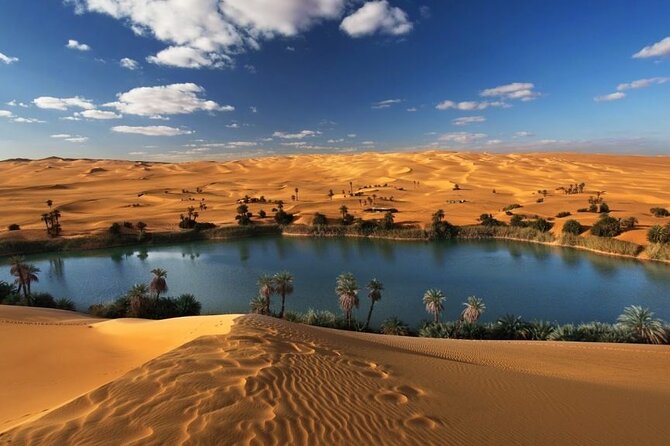 Private Day Tour To El Fayoum From Cairo - Lunch at a local restaurant