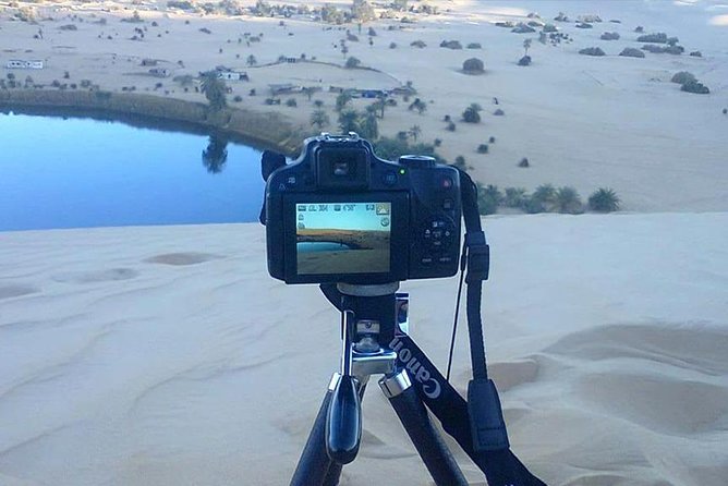 Private Day Tour To White Desert And Bahariya Oasis - Price, pickup areas, and who gets the best value